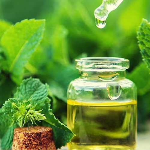 IVY Leaf Syrup Manufacturer in India